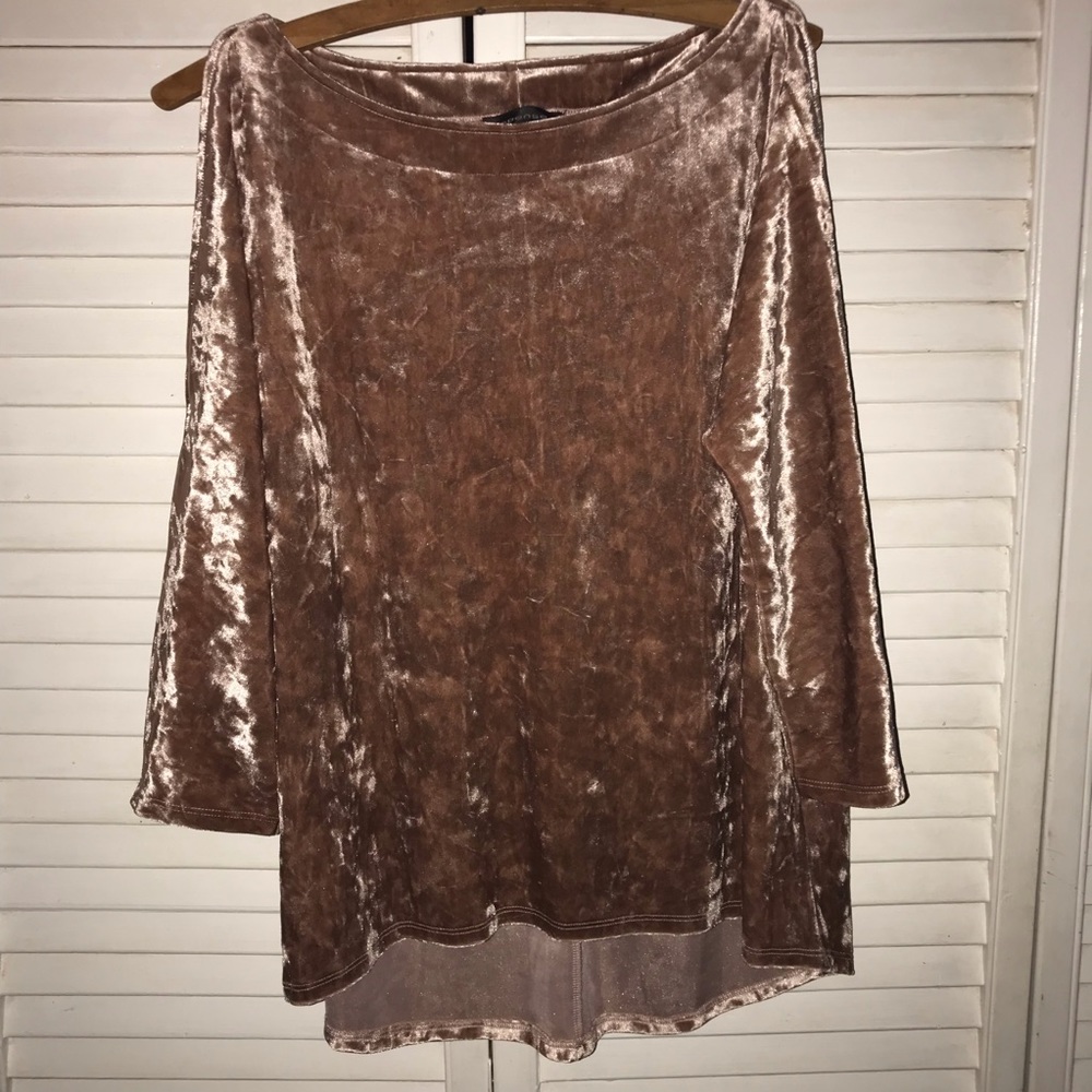 NWOT Champagne Velour Blouse